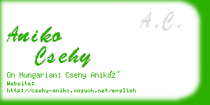 aniko csehy business card